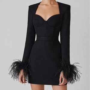 Aspen Black Feather Bodycon Mini Dress